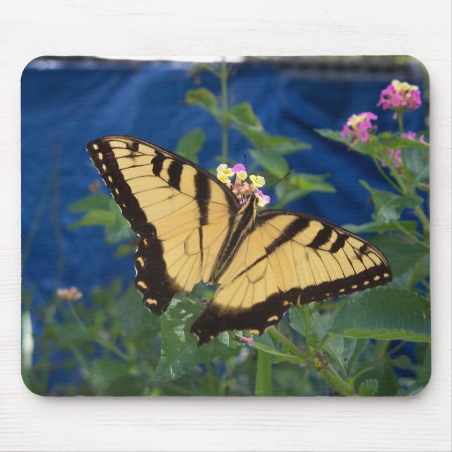 Mousepad Borboleta Rabo de Andorinha Amarela e Preta (Frente)