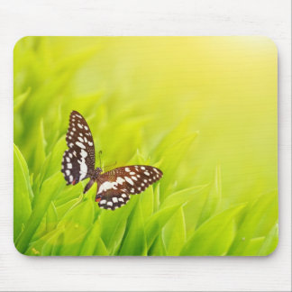 Mousepad Borboleta sentada sobre uma grama verde fresca