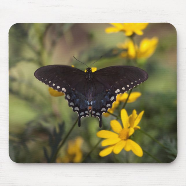 Mousepad Borboleta Swallowtail Springtime (Frente)