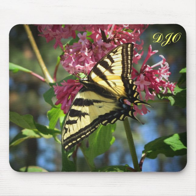 Mousepad Borboleta Tigre em Lilases (Frente)