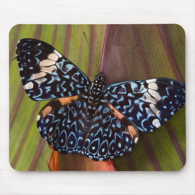 Mousepad Borboleta Tropical (Frente)