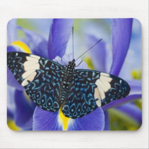 Mousepad Borboleta Tropical Roxa Íris