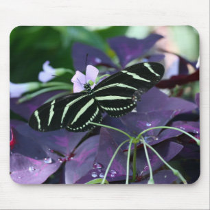 Mousepad Borboleta Zebra Longwing