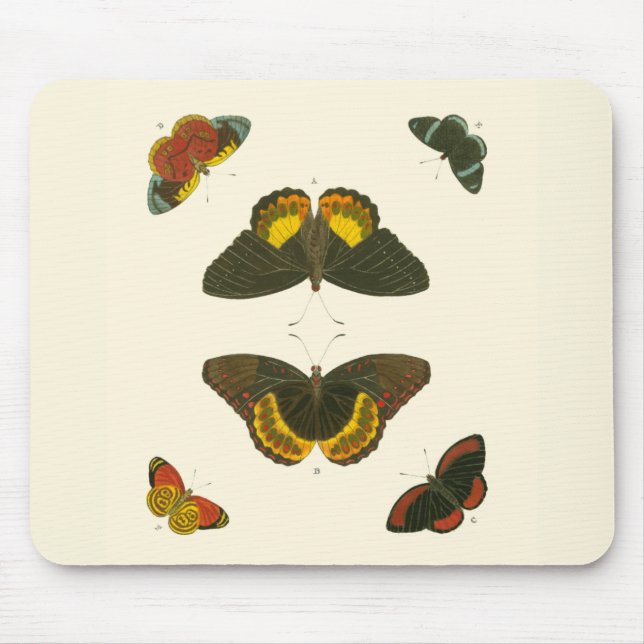 Mousepad Borboletas Brilhantes por Pieter Cramer (Frente)