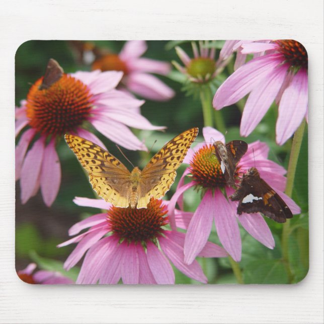 Mousepad Borboletas do Arbusto de Echinacea   (Frente)