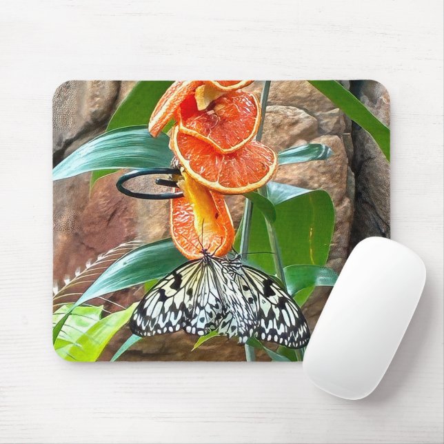 Mousepad Borboletas Ninfas da Árvore se Alimentando de Lara (Com mouse)