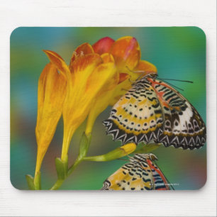 Mousepad Borboletas tropicais do Lacewing do leopardo