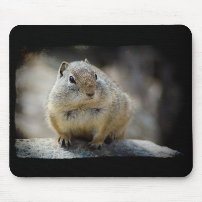Mousepad Borda Preta do Mouse com Esquilo de Chão (Frente)
