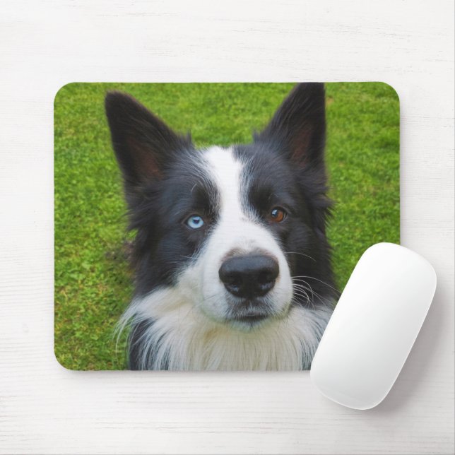 Mousepad Border Collie (Com mouse)