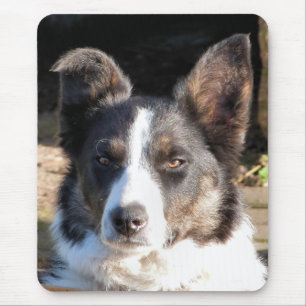 MOUSEPAD BORDER COLLIE