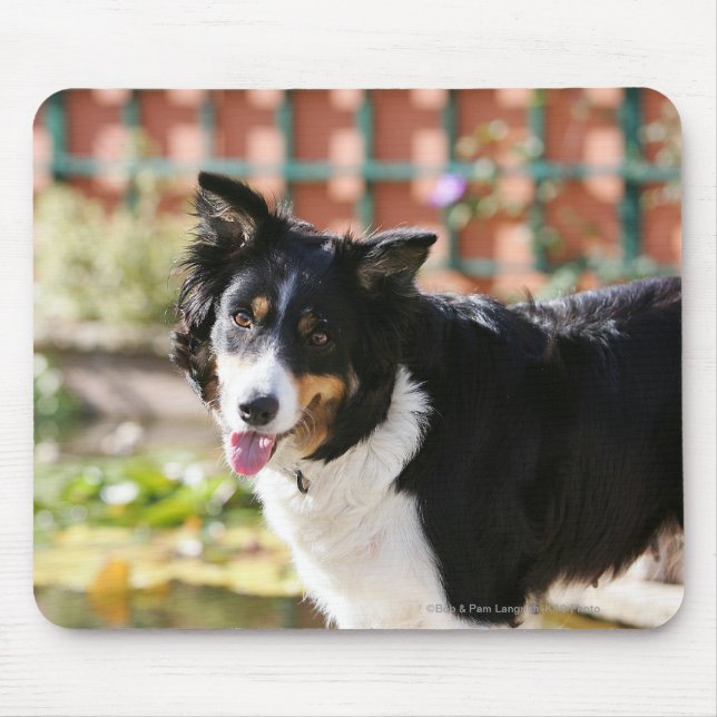 Mousepad Border collie que arfa 1 (Frente)