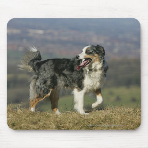 Mousepad Border collie que arfa 2