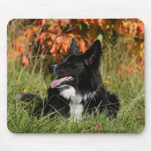 Mousepad Border collie que arfa o estabelecimento