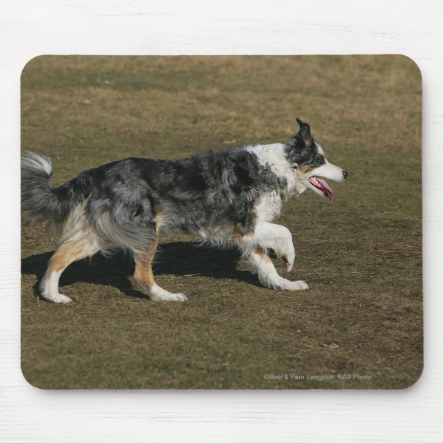 Mousepad Border collie que funciona 1 (Frente)