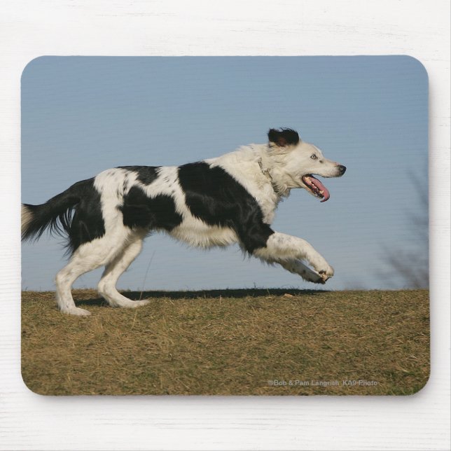 Mousepad Border collie que funciona 2 (Frente)