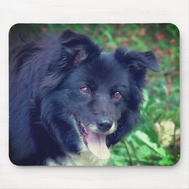 Mousepad Border Collie Smiling (Frente)