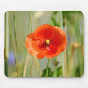 Mousepad Bordo de campo de um campo de milho com papoilas v