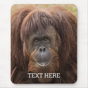 Mousepad Borneo Orangutan - Bela Fotografia