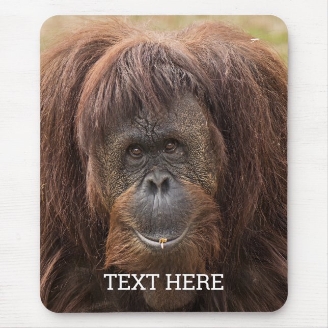 Mousepad Borneo Orangutan - Bela Fotografia (Frente)