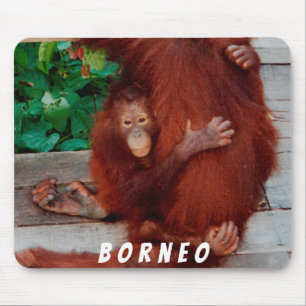 Mousepad Borneo orangutano
