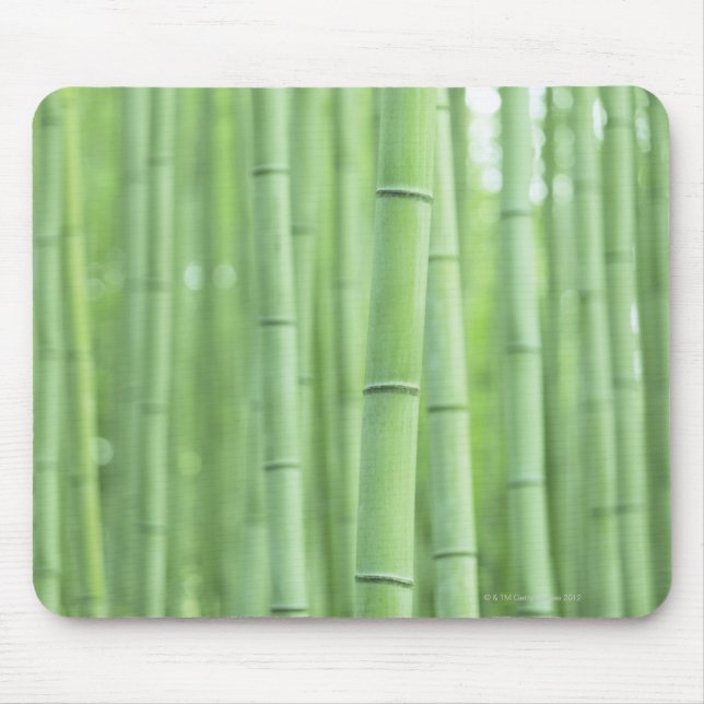 Mousepad Bosque de bambu (Frente)