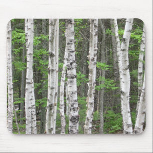 Mousepad Bosque do vidoeiro de Maine