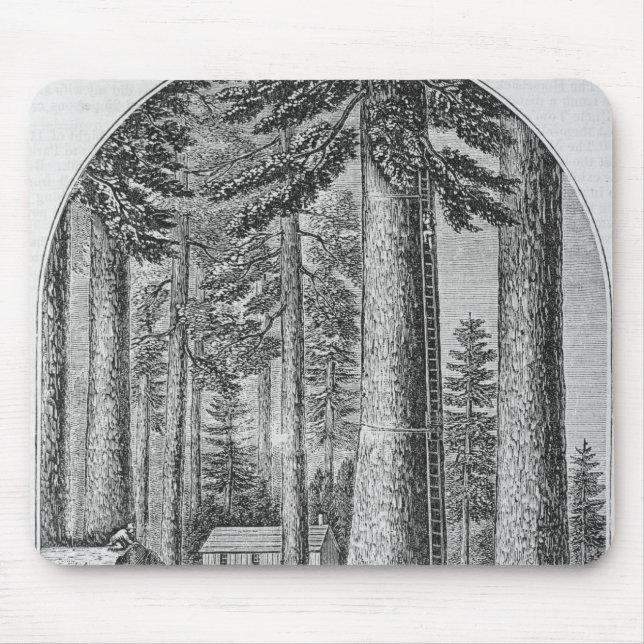 Mousepad Bosque gigantesco da árvore no vale do (Frente)