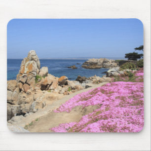 Mousepad Bosque pacífico