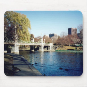 Mousepad boston frequentes