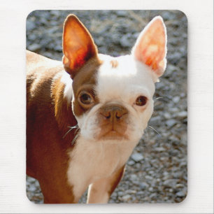 Mousepad Boston Terrier
