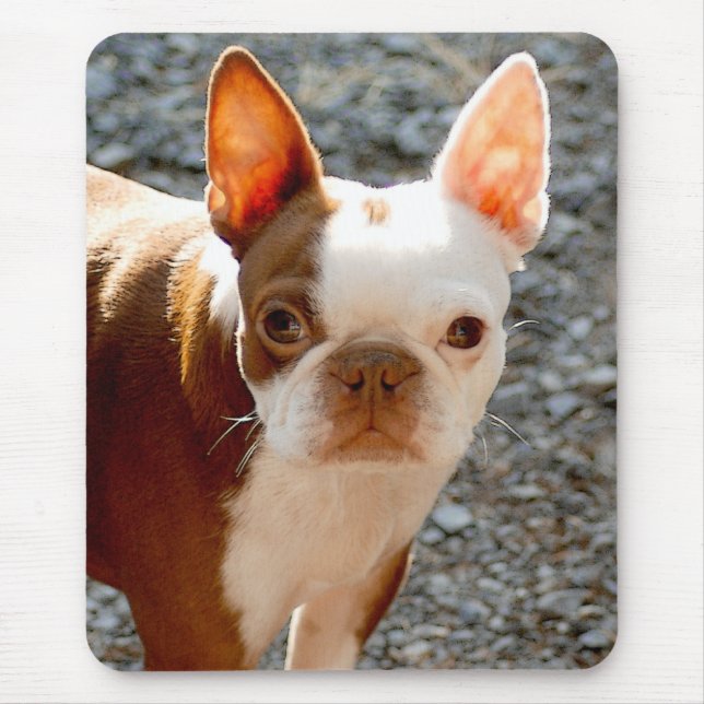 Mousepad Boston Terrier (Frente)
