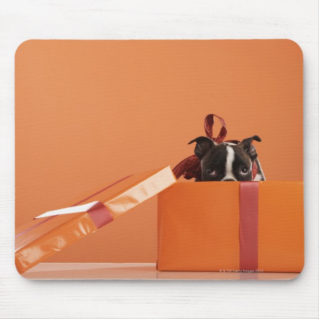 Mousepad Boston terrier cachorrinho (Frente)