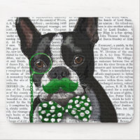 Boston Terrier com bigode verde e potências 2