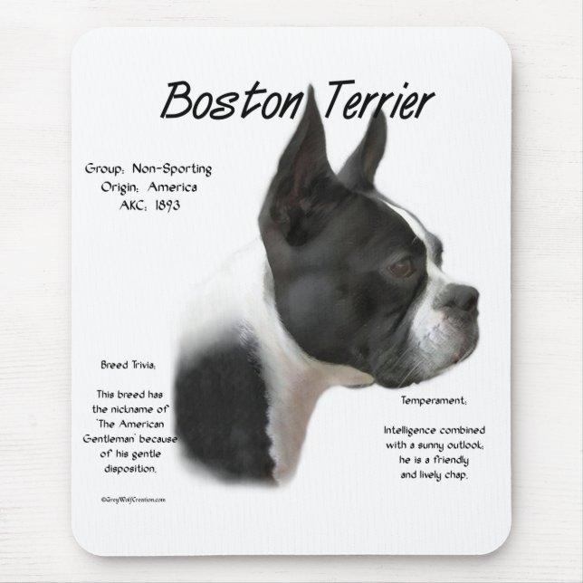 Mousepad Boston Terrier encontra-se na rocha (Frente)