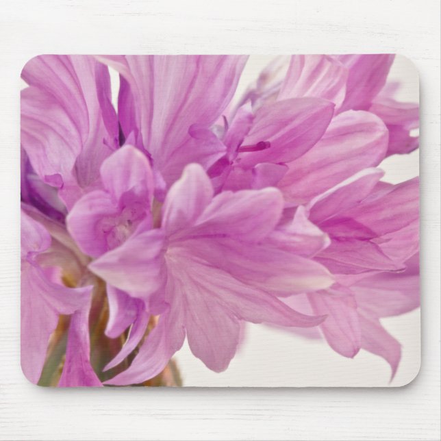 Mousepad Botão Batchelor (Frente)