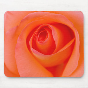 Mousepad Botão cor-de-rosa da laranja maravilhosa