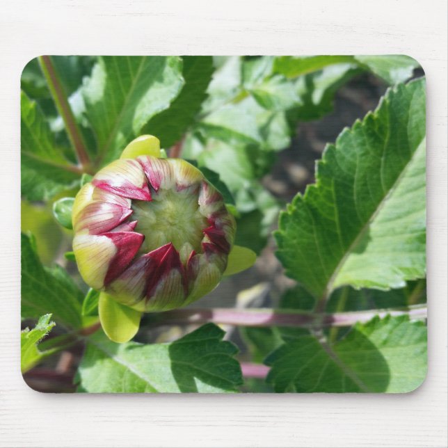 Mousepad botão outono (Frente)