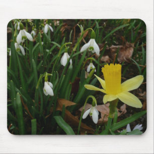 Mousepad Botas de neve e Daffodil Primavera Floral