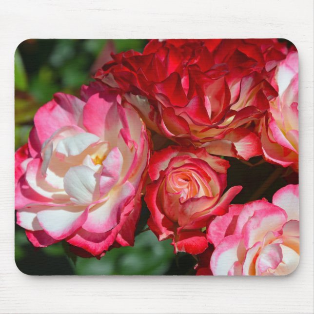 Mousepad Botões de rosa rosa (Frente)