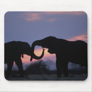 Mousepad Botswana, Parque Nacional Chobe, Elefantes