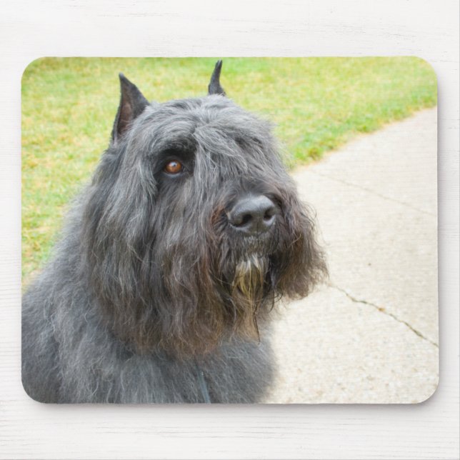 Mousepad Bouvier des Flandres (Frente)
