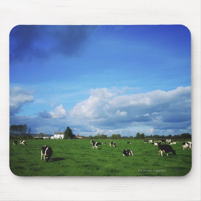 Mousepad Bovinos Holstein-Frísia perto de Thurles, Co (Frente)