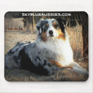 Mousepad Bowdie - tapete do rato do Aussie dos azul-céu