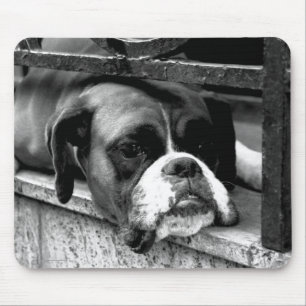 Mousepad Boxer Dog On Windowsill mp arc