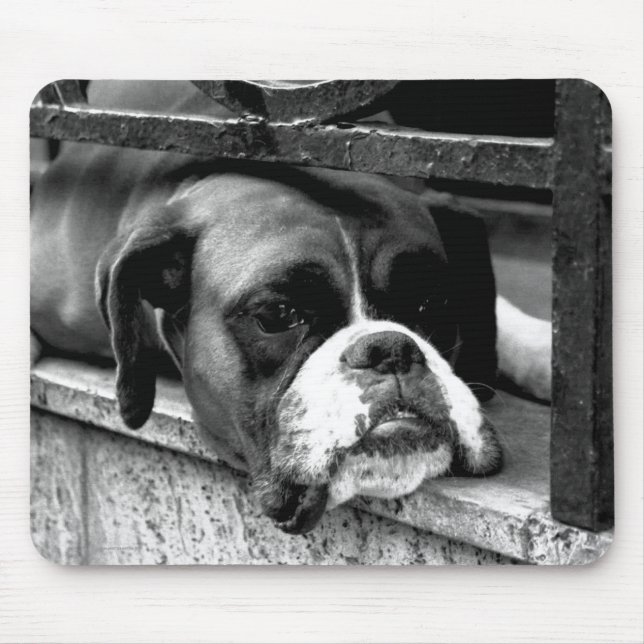 Mousepad Boxer Dog On Windowsill mp arc2 (Frente)