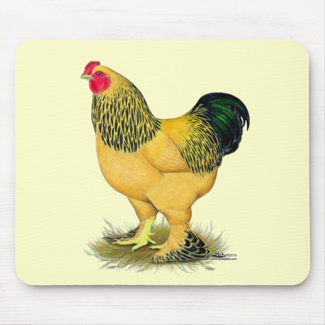Mousepad Brahma: Buff Rooster (Frente)