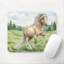 Brana Pinto Palomino Aquarela Islandesa