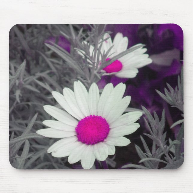 Mousepad Branco Daisy (w Rosa) (Frente)