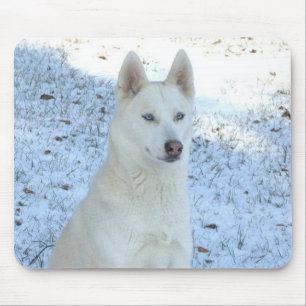 Mousepad branco do rouco Siberian