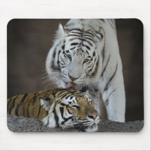 Mousepad Branco e descanso dos tigres de Brown